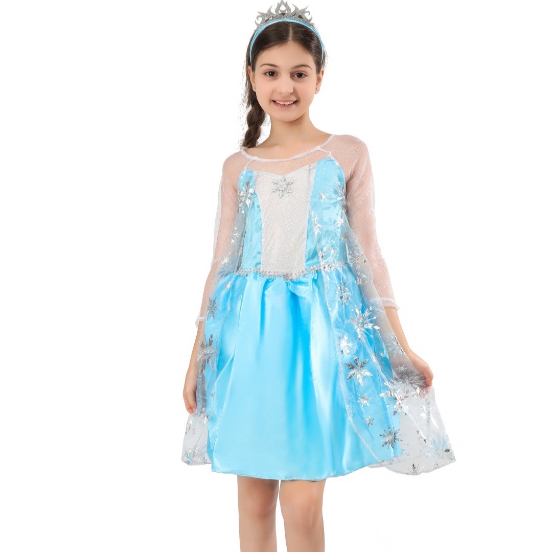 Popular Frozen Elsa princess dress1